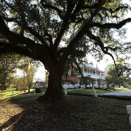 Old Castillo Bed And Breakfast Saint Martinville Exterior foto